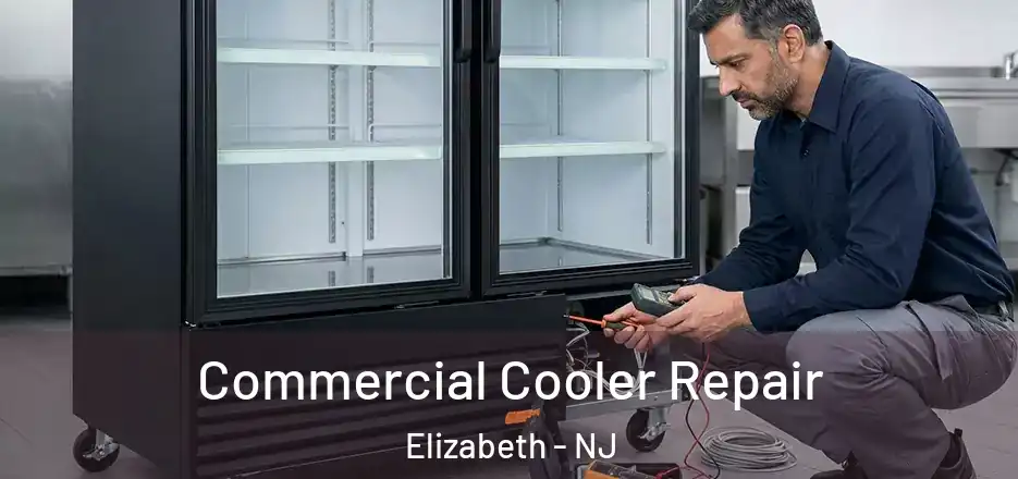  Commercial Cooler Repair Elizabeth - NJ