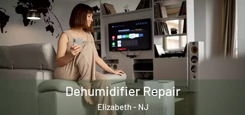  Dehumidifier Repair Elizabeth - NJ