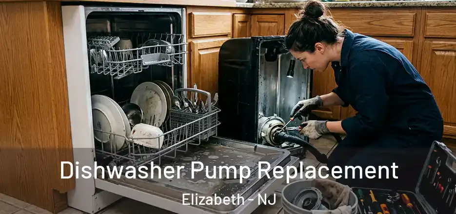 Dishwasher Pump Replacement Elizabeth - NJ