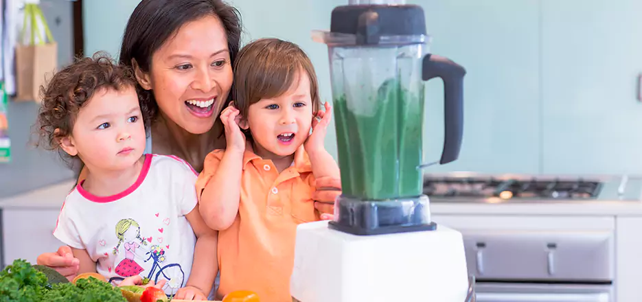 Juicer and Mixer Blender Repair in Elizabeth 