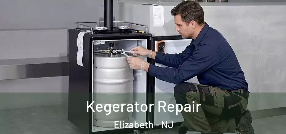  Kegerator Repair Elizabeth - NJ