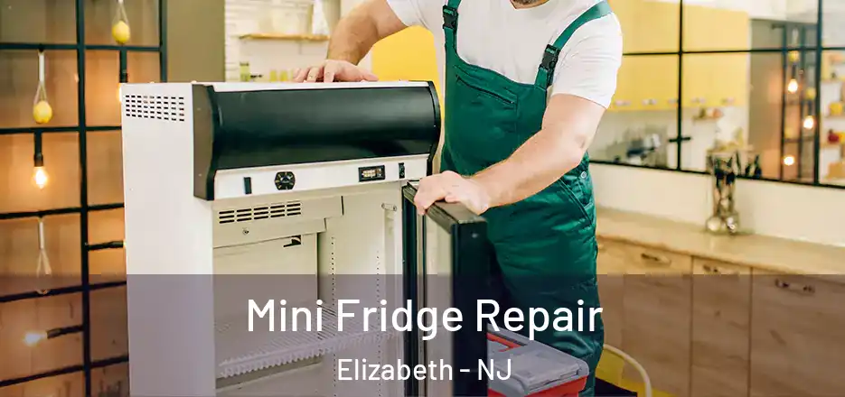  Mini Fridge Repair Elizabeth - NJ