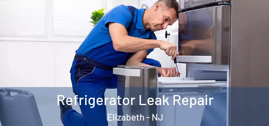 Refrigerator Leak Repair Elizabeth - NJ
